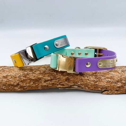 BioThane Quick Release dog collar - custom made by kinfolk leather in nz