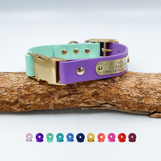 BioThane Quick Release dog collar - custom made by kinfolk leather in nz