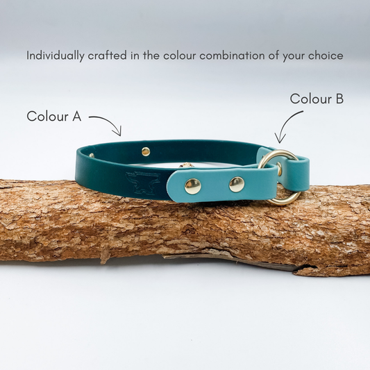 BioThane D Tag House Collar with brass nameplate - made in NZ by Kinfolk Leather