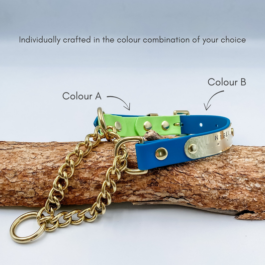 Custom Martingale Dog Collar in waterproof Biothane. Made in NZ by Kinfolk Leather. Green and Blue