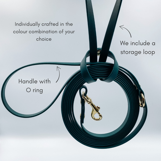 Green long line dog lead in waterproof biothane and brass - handmade in NZ by Kinfolk Leather