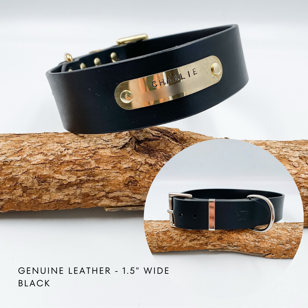 Genuine Leather Custom Dog Collars - Made in NZ by Kinfolk Leather - Black with brass buckle and nameplate