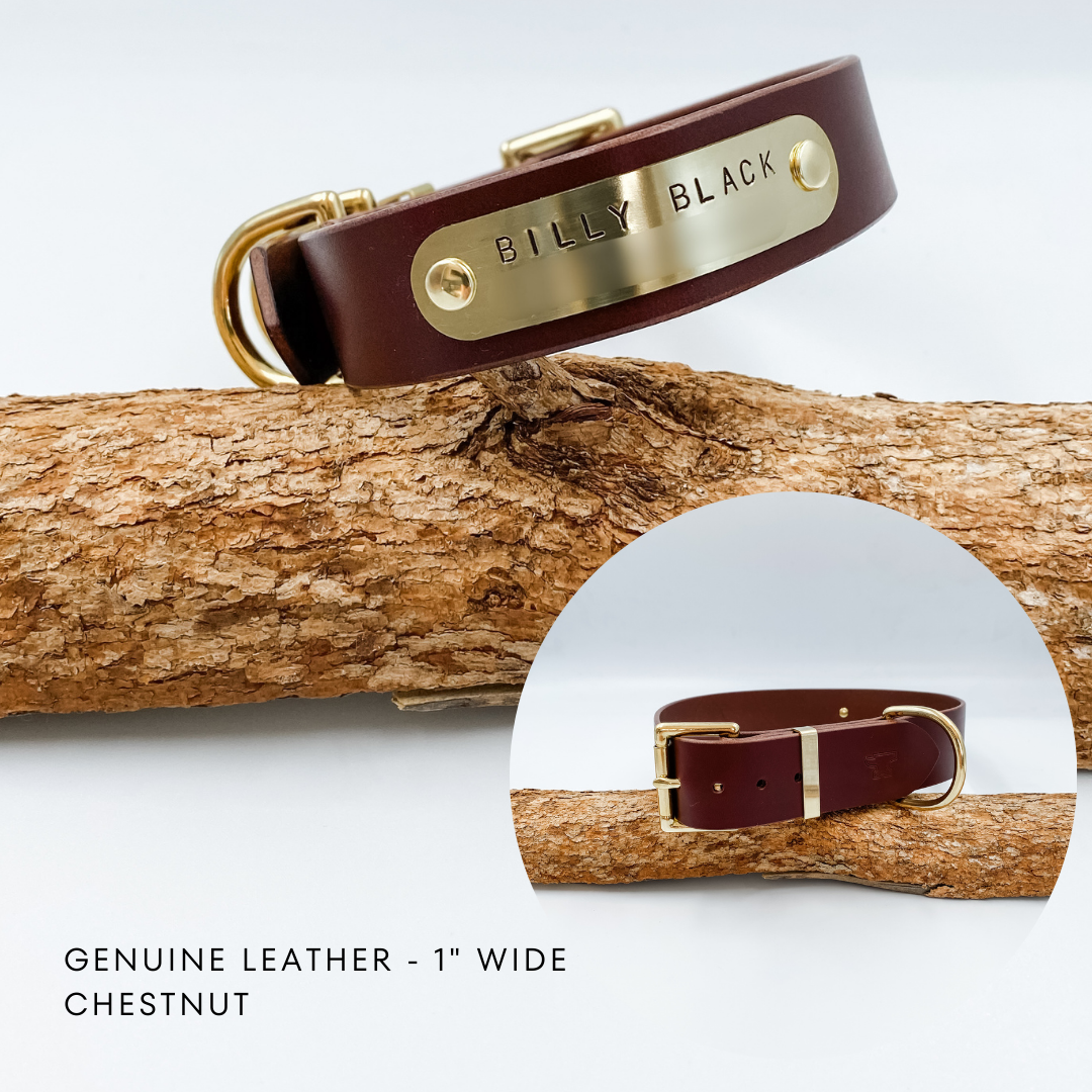 Genuine Leather Custom Dog Collars - Made in NZ by Kinfolk Leather - Chestnut with brass buckle and nameplate