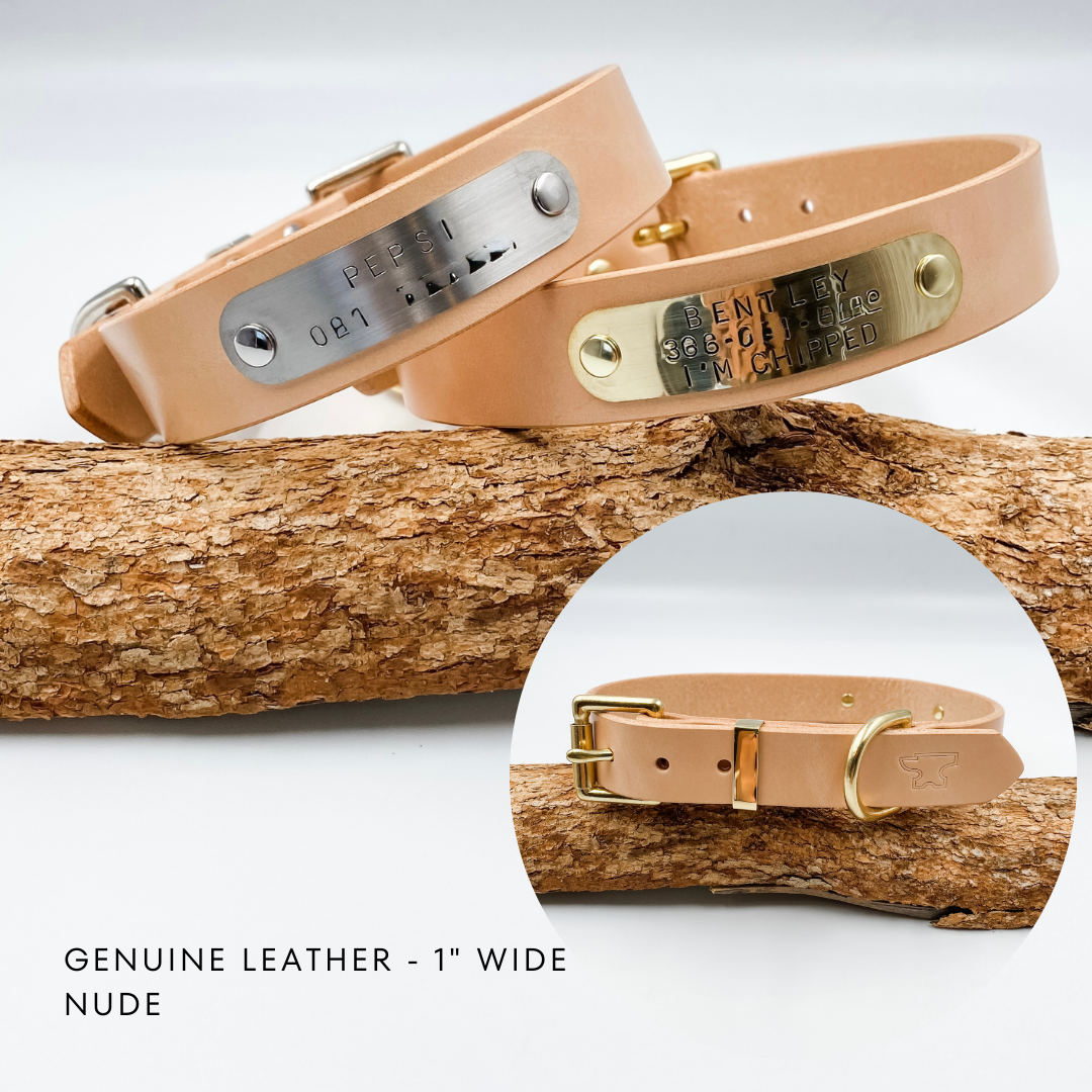 Genuine Leather Custom Dog Collars - Made in NZ by Kinfolk Leather - Beige Natural Nude with brass buckle and nameplate