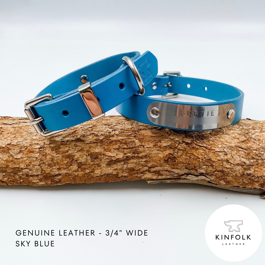 Genuine Leather Custom Dog Collars - Made in NZ by Kinfolk Leather - Sky Blue with brass buckle and nameplate