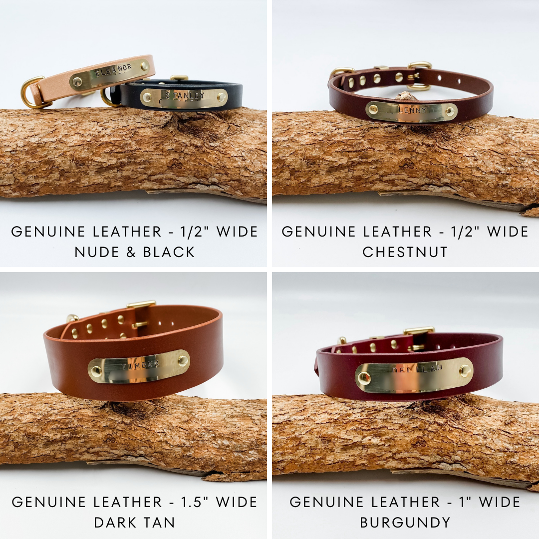 Genuine Leather Custom Dog Collars - Made in NZ by Kinfolk Leather - personalised with brass buckle and nameplate