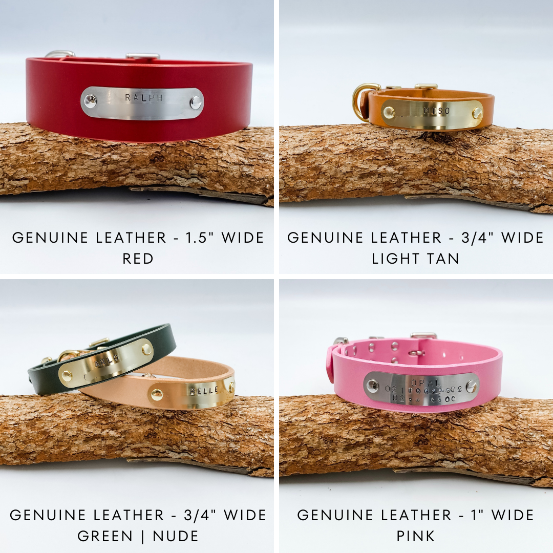 Genuine Leather Custom Dog Collars - Made in NZ by Kinfolk Leather - personalised with brass buckle and nameplate