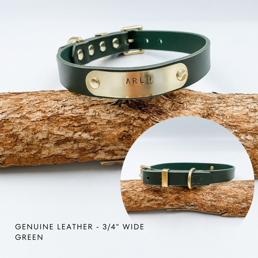 Genuine Leather Custom Dog Collars - Made in NZ by Kinfolk Leather - Green with brass buckle and nameplate