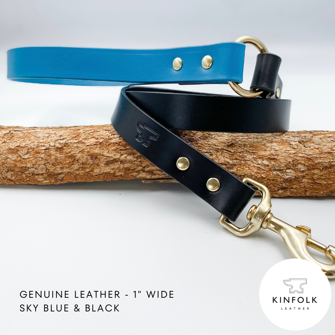 Two tone leather dog lead, sky blue and black, with brass hardware on a branch with Kinfolk Leather logo.