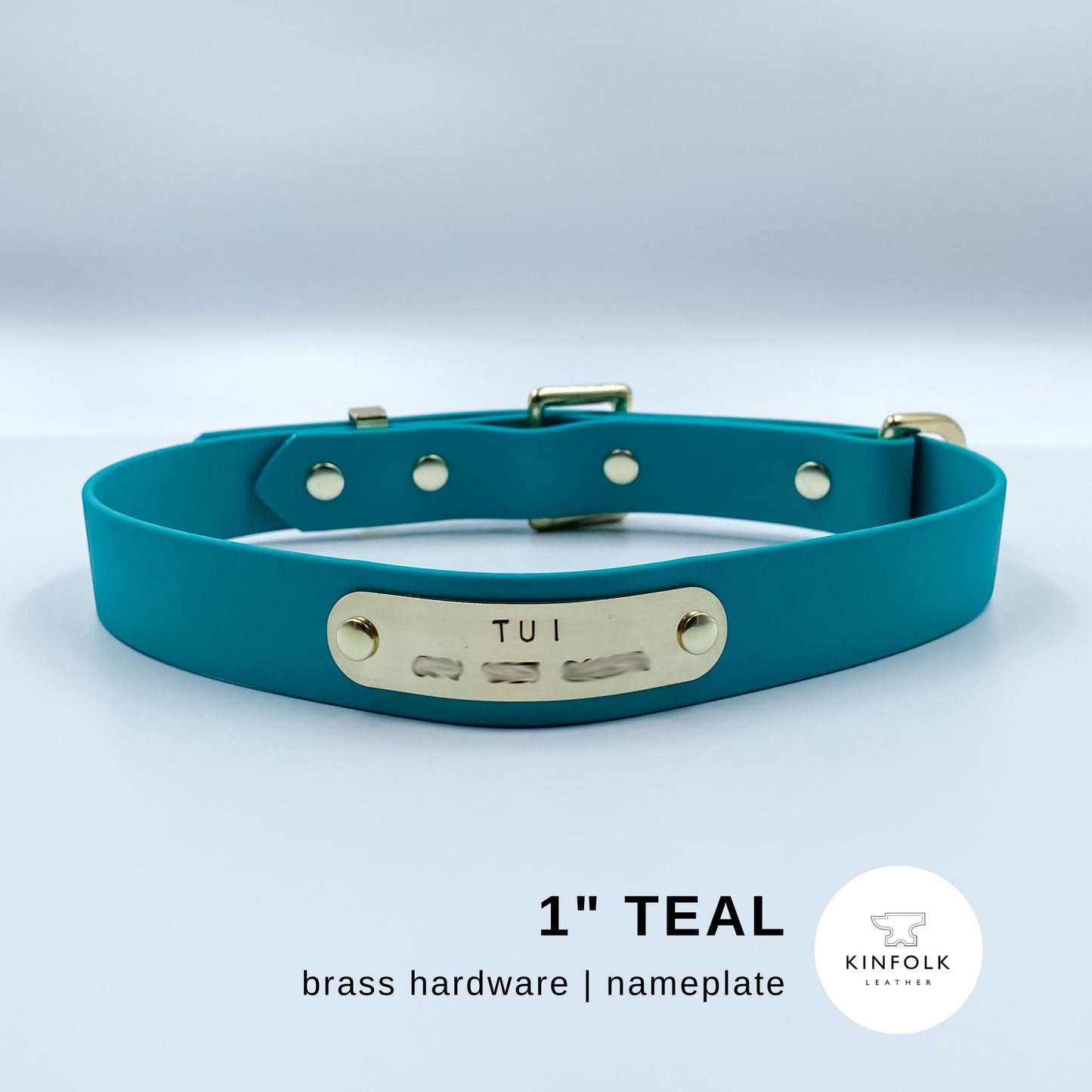 Vegan Leather / Waterproof Biothane - D-End Dog Collar (optional nameplate)