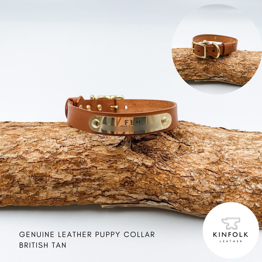 Soft Leather Puppy Collar with personalised brass nameplate - custom made in NZ by Kinfolk Leather