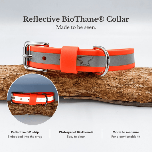 Reflective BioThane dog collar with embedded 3M reflective strip, waterproof material and custom sizing