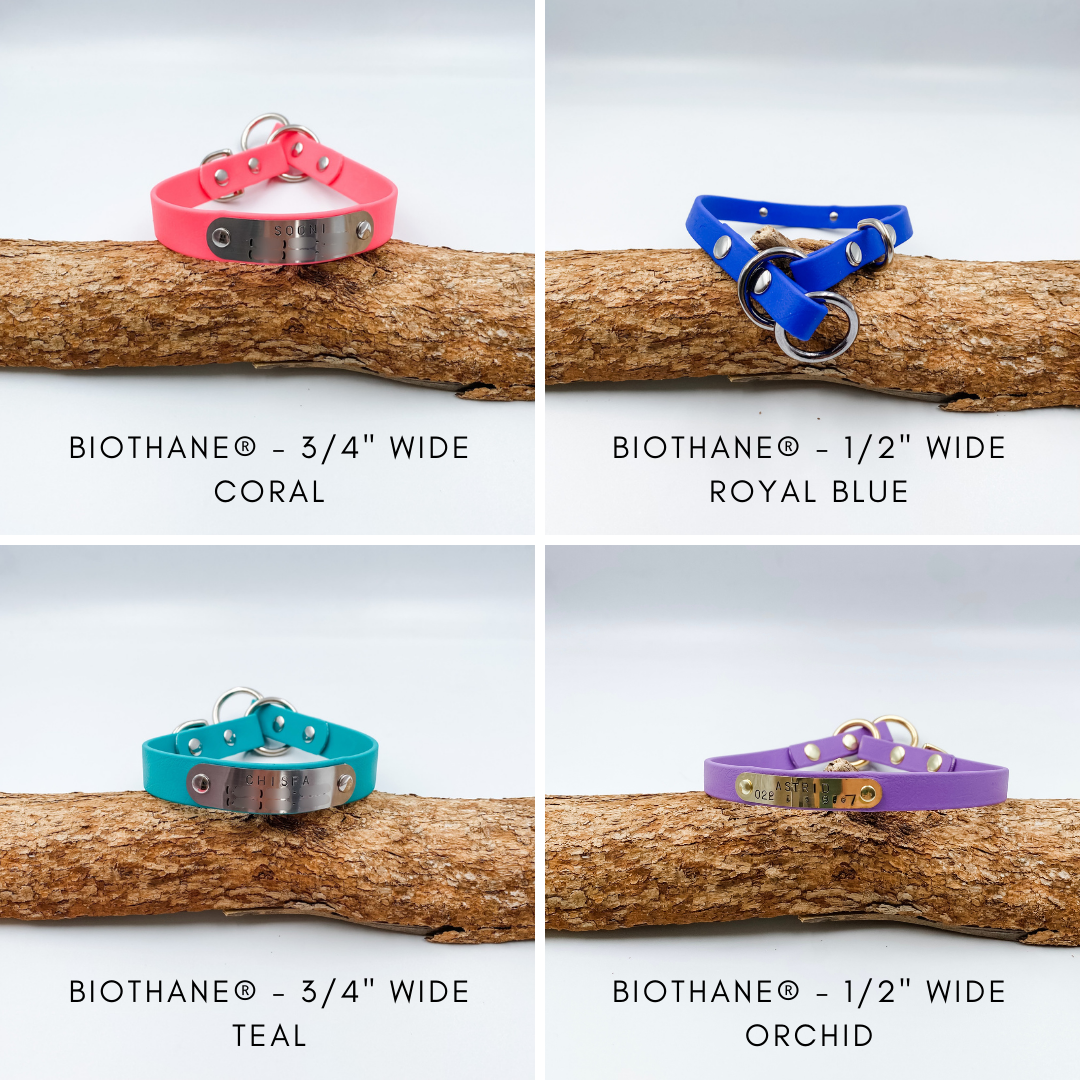 Custom Slip Dog Collars made from Waterproof BioThane with personalised brass nameplate - Custom made in NZ by Kinfolk leather