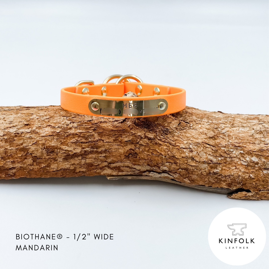 Orange Slip Dog Collar made from Waterproof BioThane with personalised brass nameplate - Custom made in NZ by Kinfolk leather