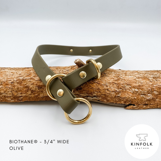 Slip Dog Collar made from Waterproof BioThane with personalised brass nameplate - Custom made in NZ by Kinfolk leather
