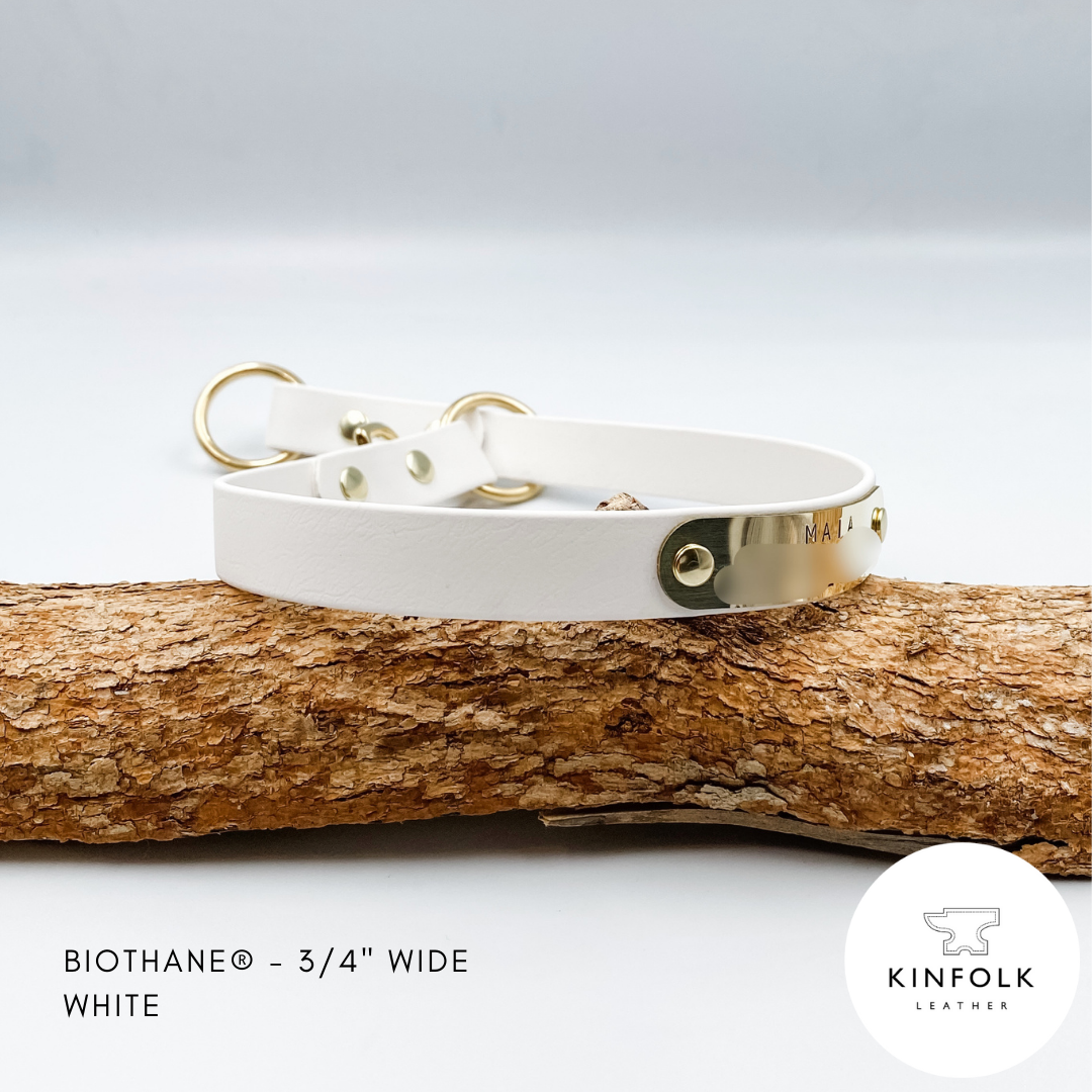 Slip Dog Collar made from Waterproof BioThane with personalised brass nameplate - Custom made in NZ by Kinfolk leather