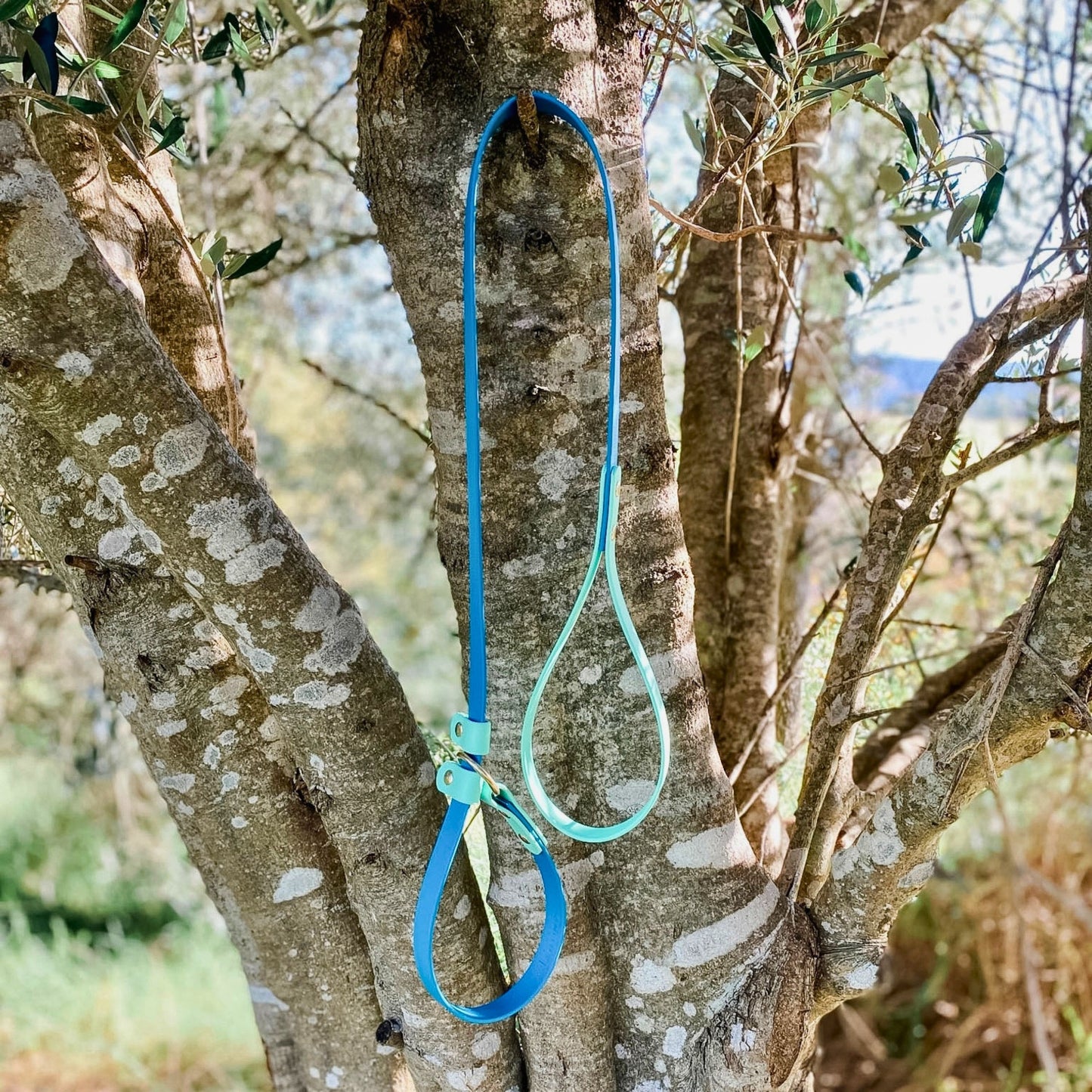BioThane® Slip Lead - Waterproof Custom Dog Lead