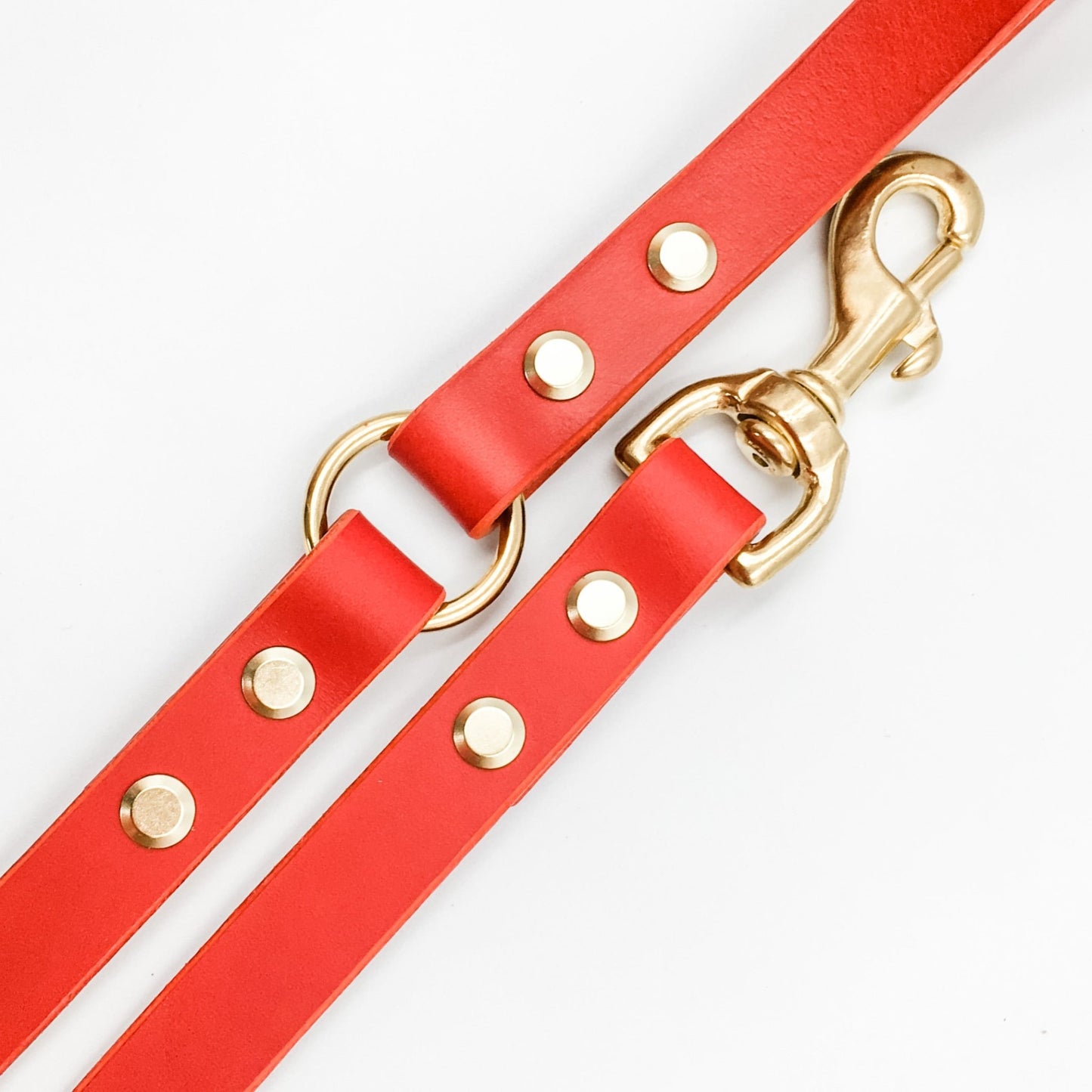 Leather & Solid Brass Dog Leash / Lead (with customisable handle) - 1/2" (12mm) Gold - Kinfolk Leather