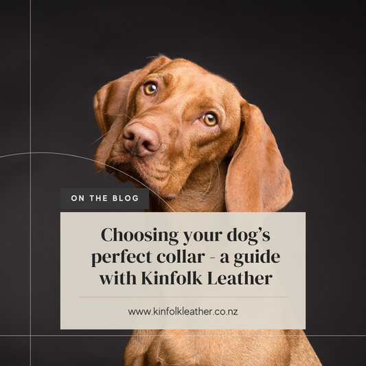 Choosing Your Dog's Perfect Collar: A Guide with Kinfolk Leather