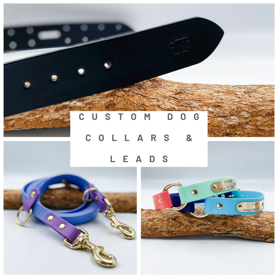 Custom Dog Collars and Leads - Made in NZ by Kinfolk Leather