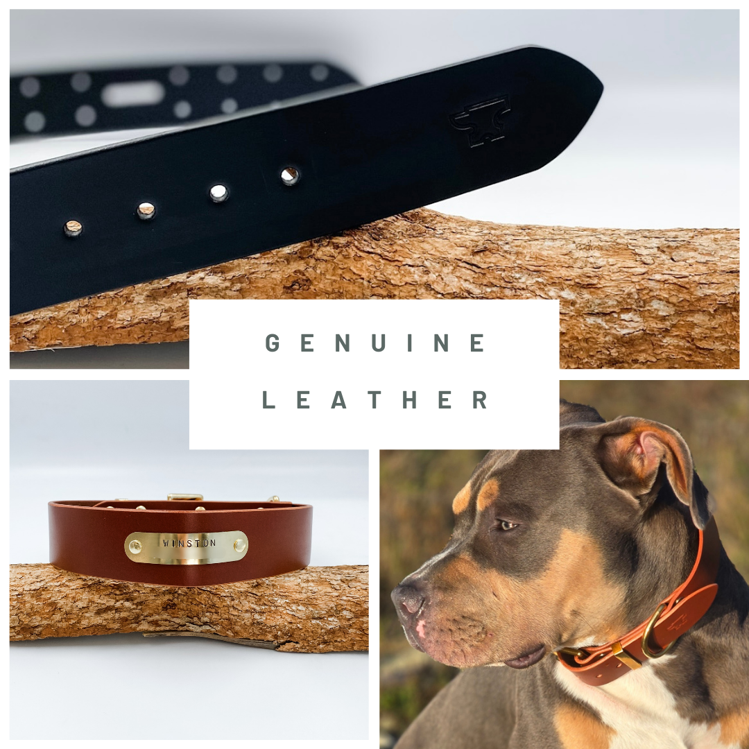 Genuine Leather Dog Collars and Leads - Custom Made in NZ by Kinfolk Leather