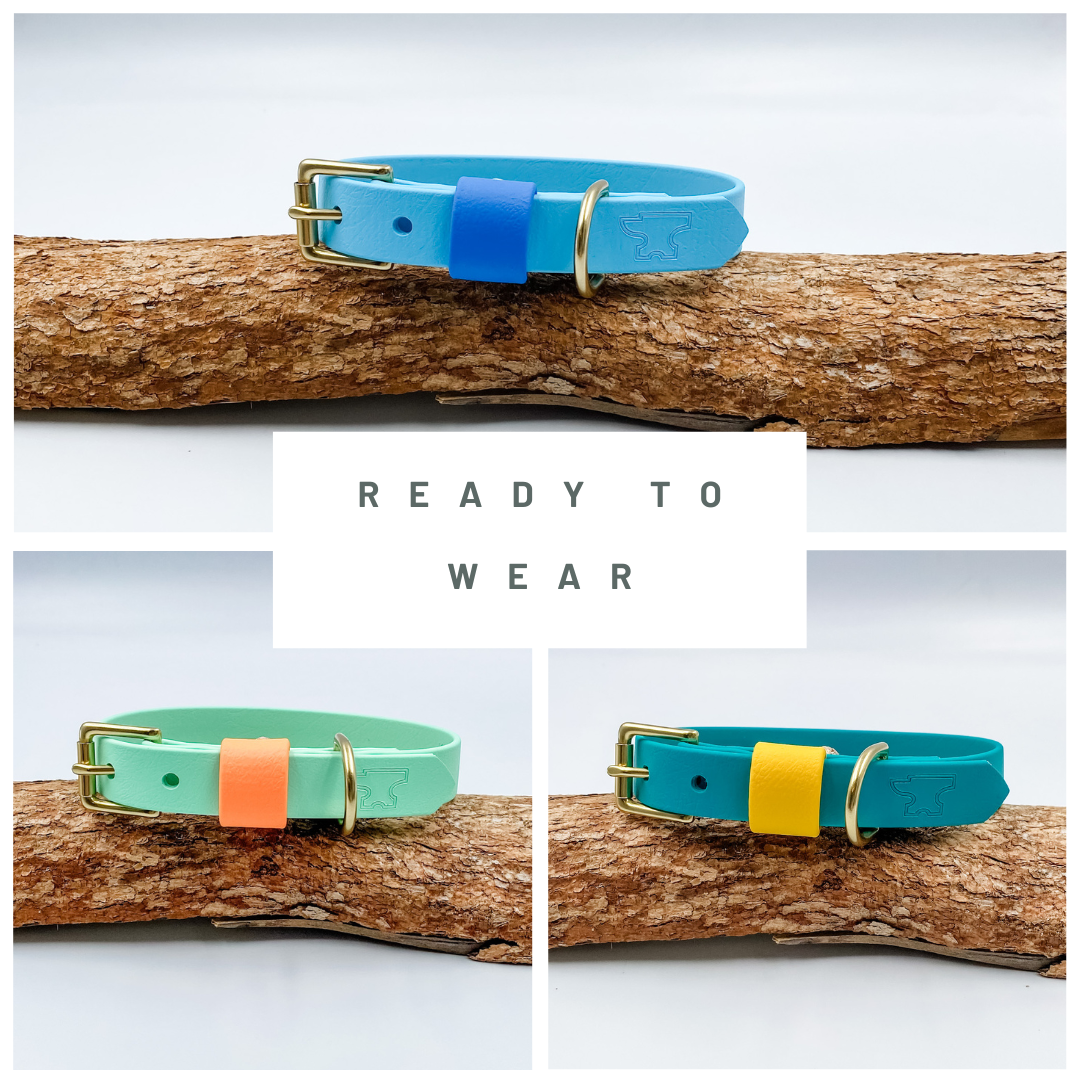Ready to Wear BioThane® Dog Collars