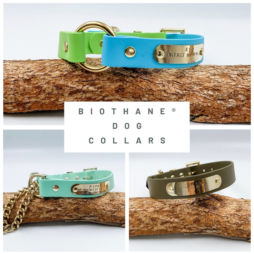 Waterproof BioThane Custom Dog Collars - Made in NZ by Kinfolk Leather