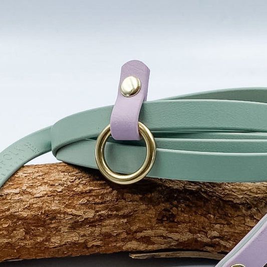 Adjustable O Ring for Dog Lead