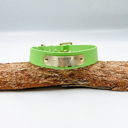 Green dog collar with gold nameplate on a wooden branch against a light gray background