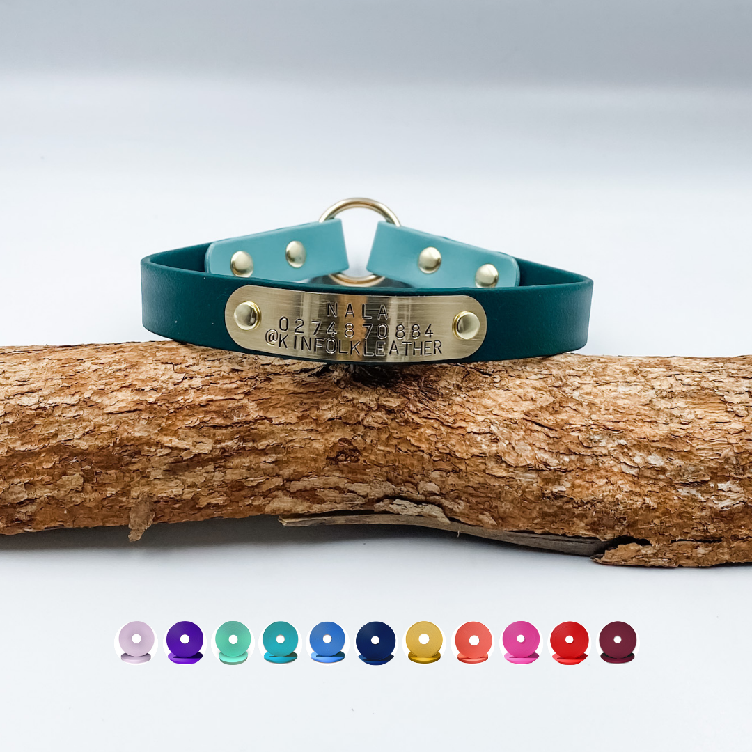 BioThane D Tag House Collar with brass nameplate