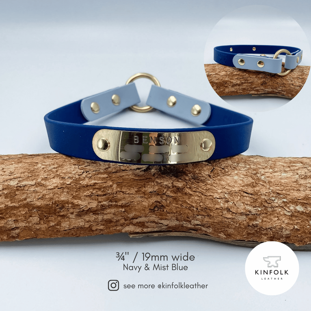 Lightweight ID Tag Collar - Waterproof BioThane® - Custom Dog Collar