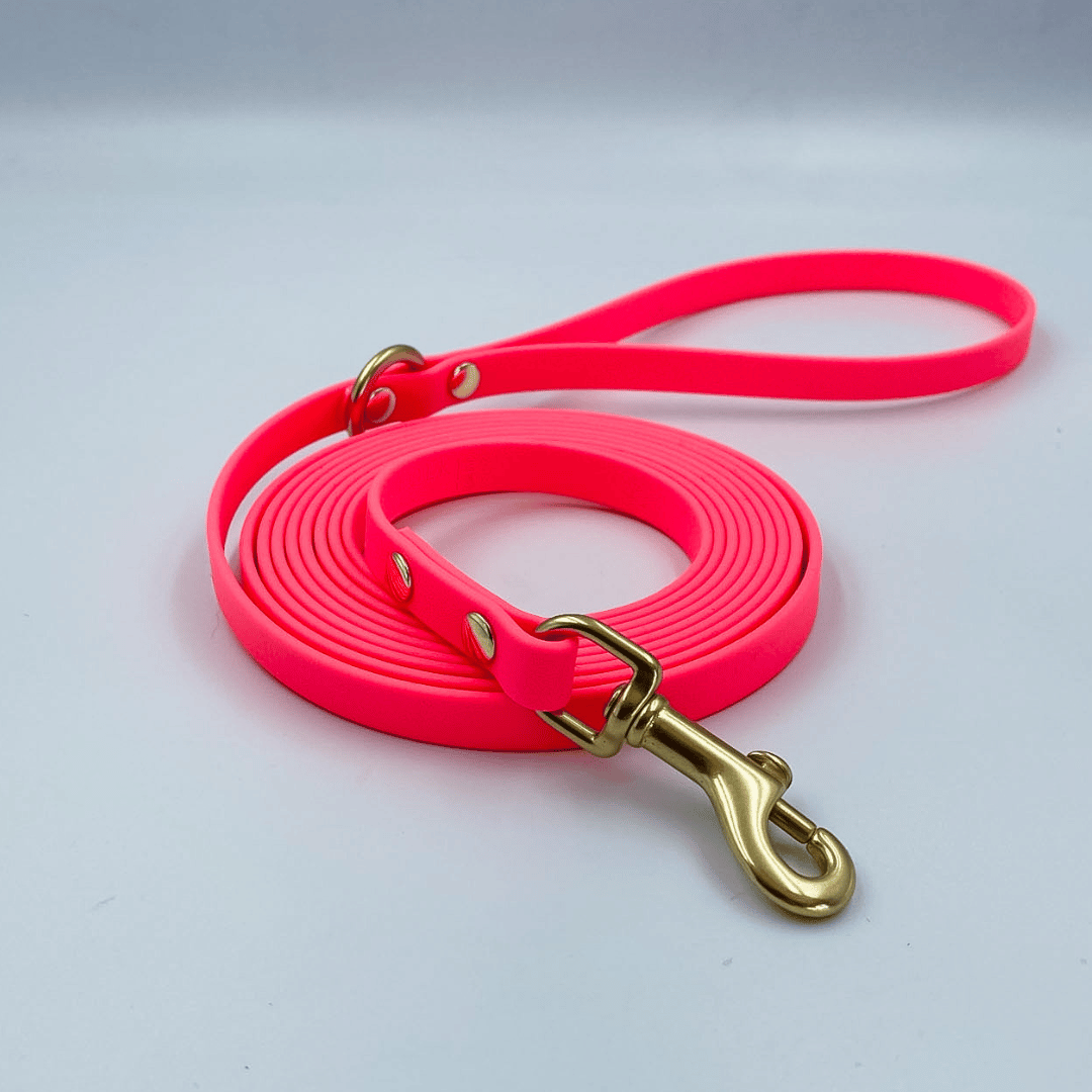 Waterproof BioThane® Long Line Dog Lead with Handle