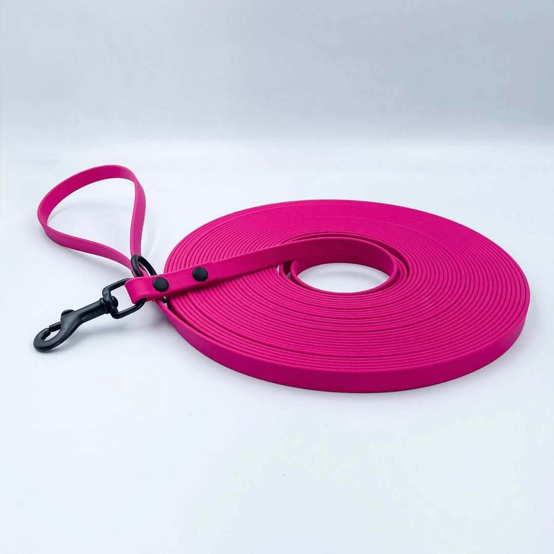 Waterproof BioThane® Long Line Dog Lead with Handle