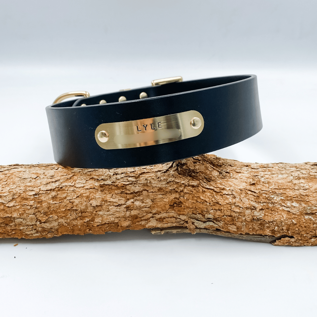 Black leather dog collar with gold nameplate on a wooden branch against a white background