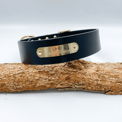 Black leather dog collar with gold nameplate on a wooden branch against a white background