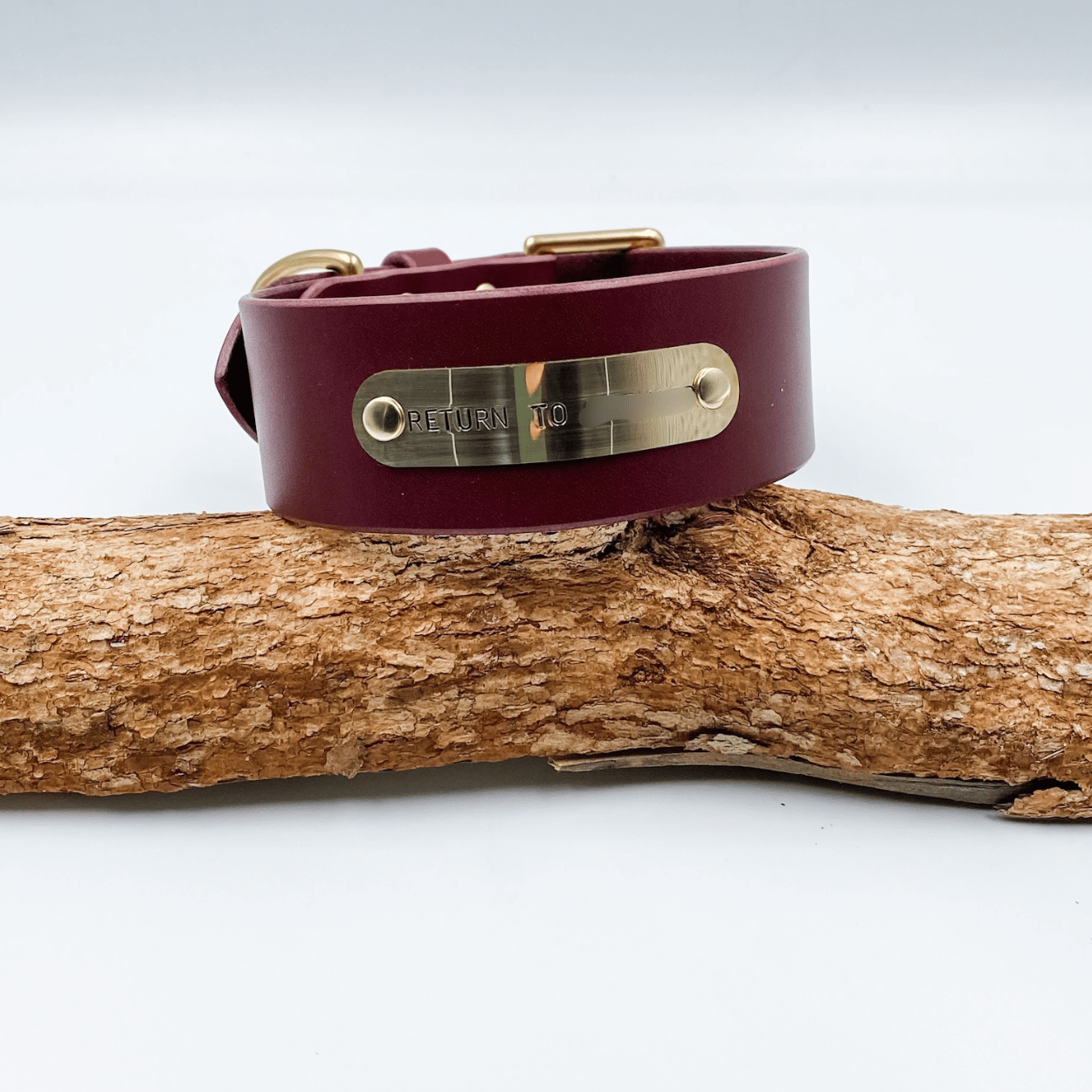 Brown leather dog collar with brass tag on a wooden log