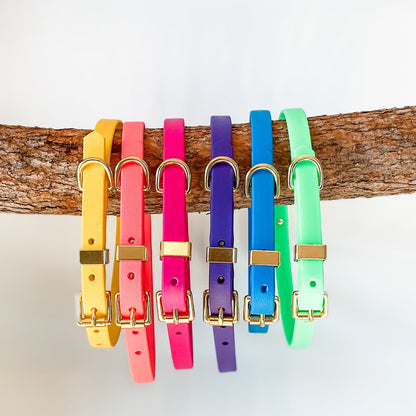 Kinfolk Leather - Waterproof Biothane Dog Collars Custom made in NZ