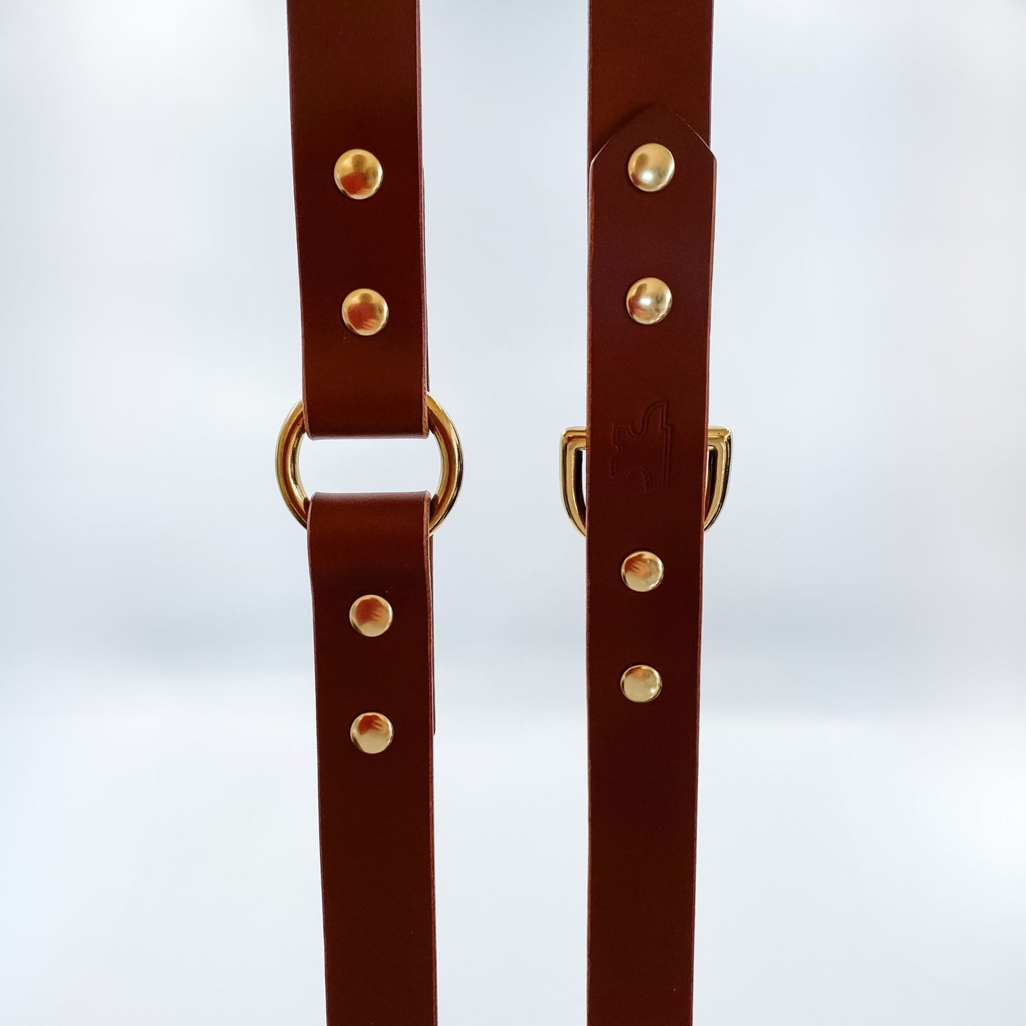 Genuine Leather & Brass - 6ft Long Flat Dog Training Lead