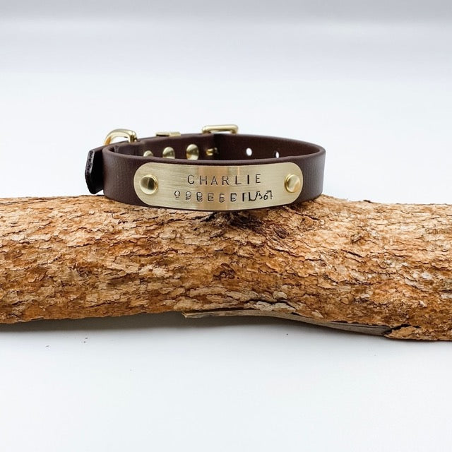 Brown leather dog collar with a brass tag on a wooden log against a white background