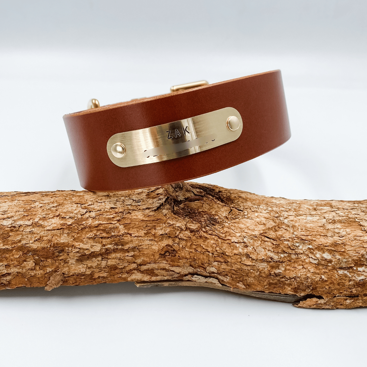 Brown leather collar with brass tag on a wooden branch against a white background