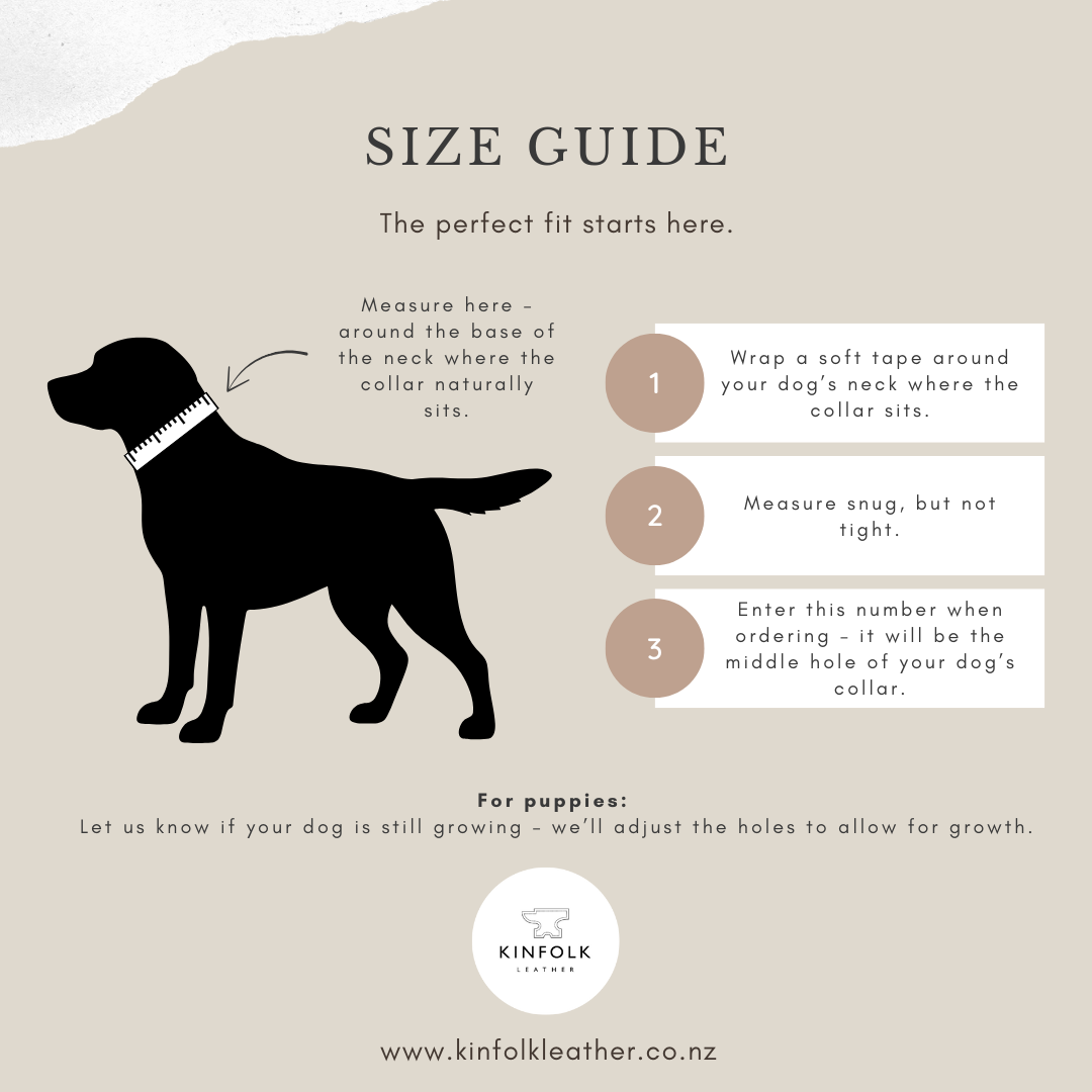 Dog Collar Measurement Guide - Kinfolk Leather Custom Dog Collars NZ