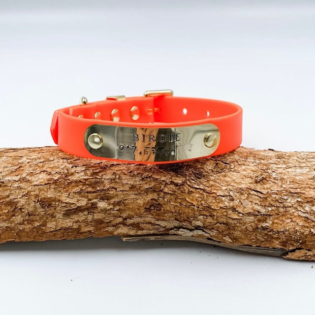 Orange dog collar with metal tag on a wooden log against a white background