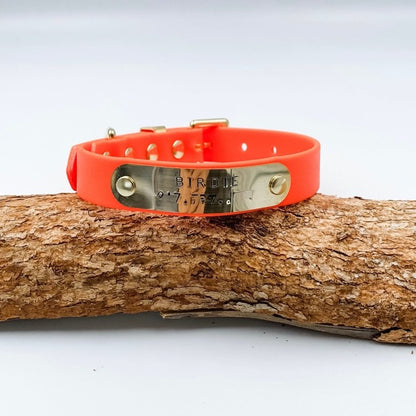 Orange dog collar with metal tag on a wooden log against a white background