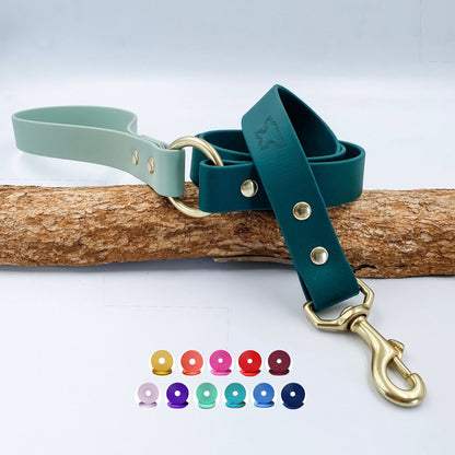 Two Tone Classic Lead – Waterproof BioThane® Custom Dog Lead