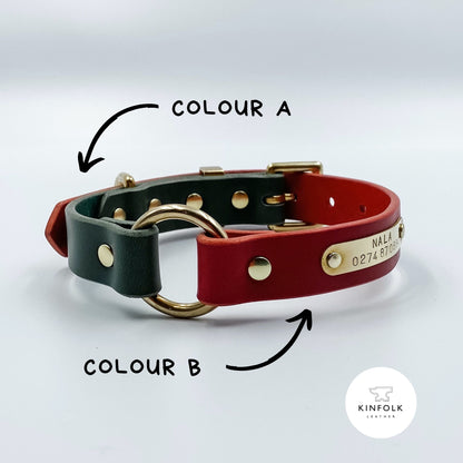 Genuine Leather - Two Tone 'O' Ring Dog Collar