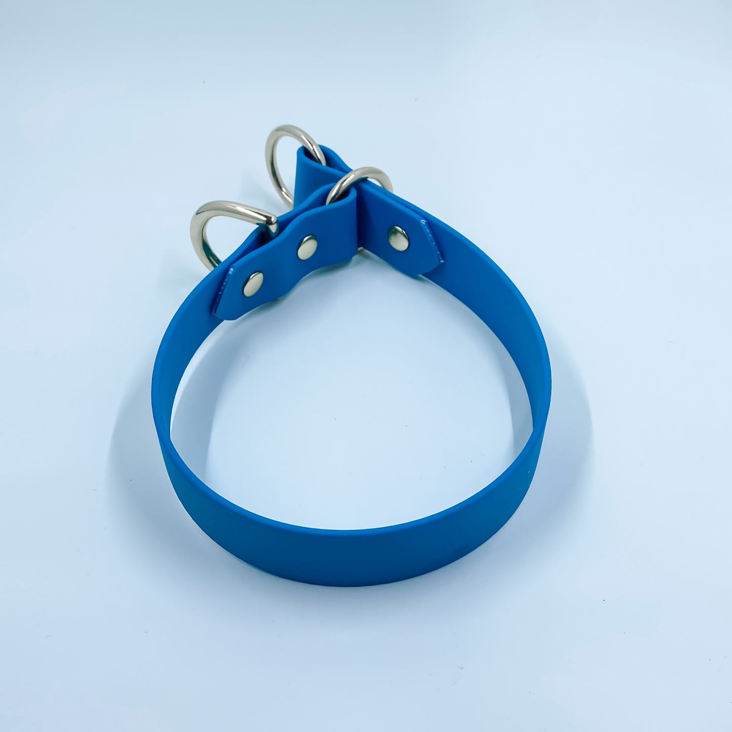 Waterproof BioThane® - Custom Dog Collar - Slip