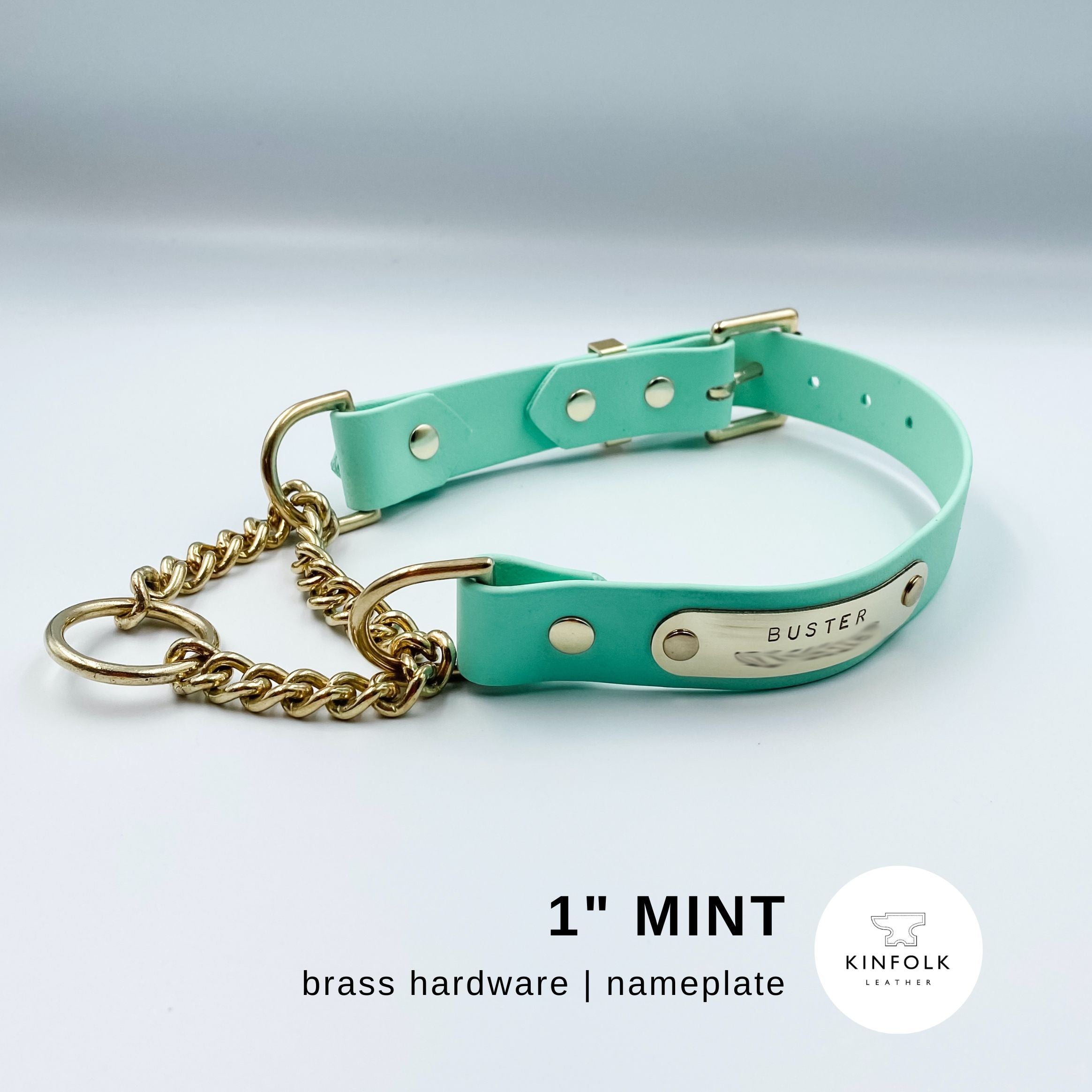 Martingale collar hot sale with nameplate