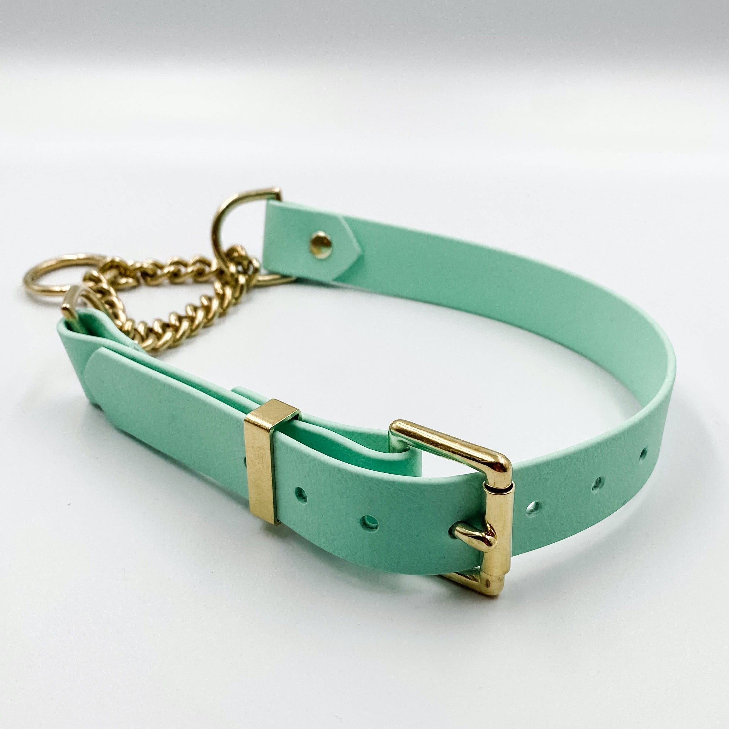 Biothane clearance martingale collar