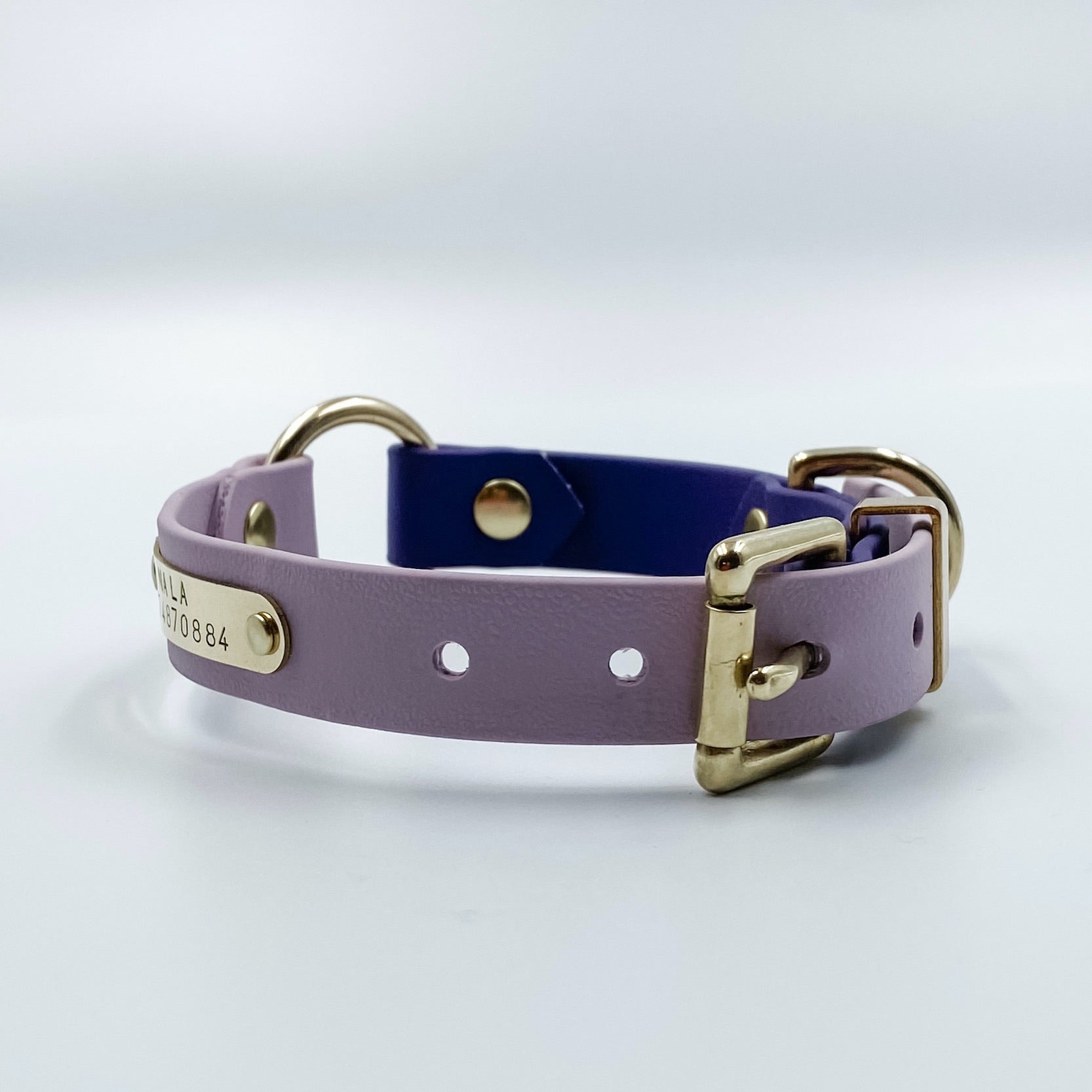 Vegan dog sale collars and leashes