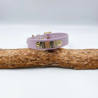Pink dog collar with gold accents on a wooden log against a white background